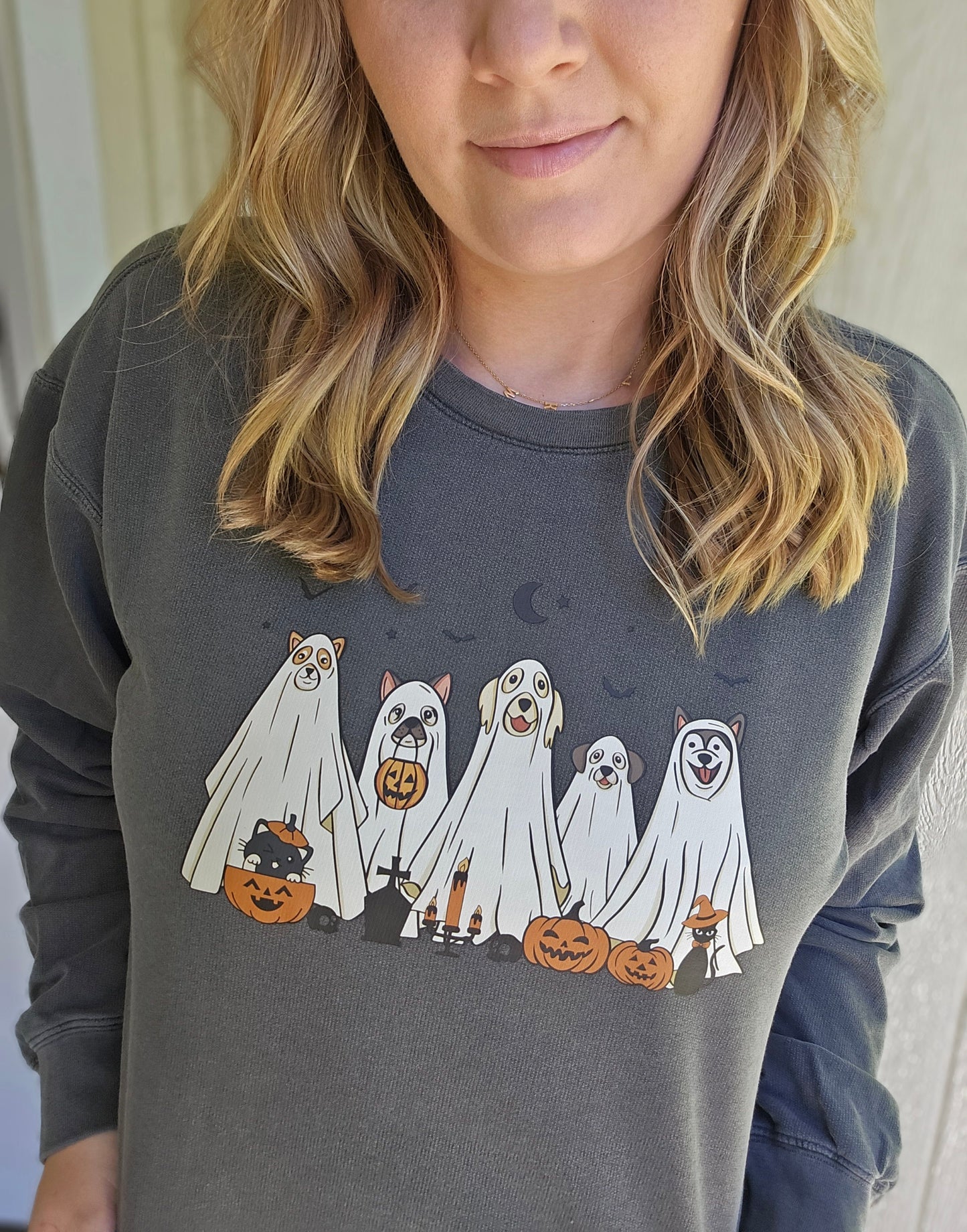 SPOOKY DOGS Charcoal Vintage Wash Crewneck