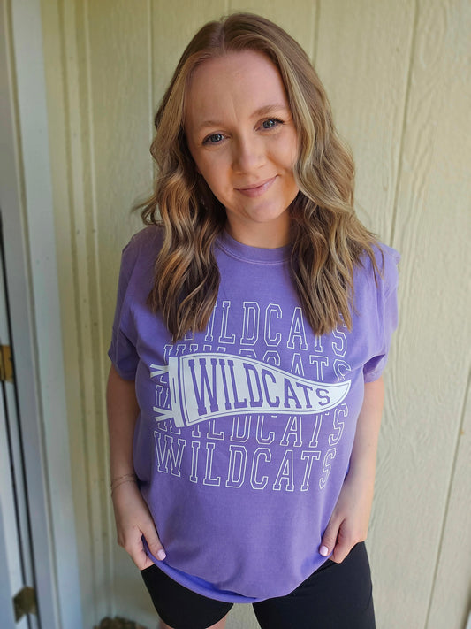 WILDCATS PENNANT Purple Vintage Wash Short Sleeve Tee